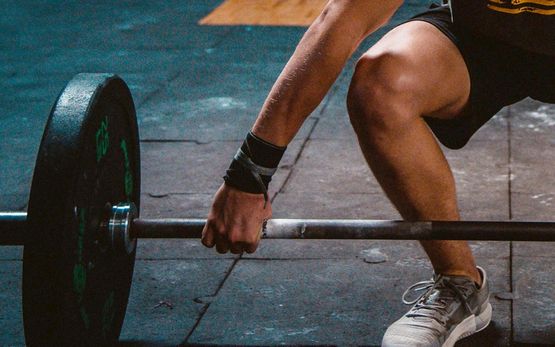 Esteroides Curso para Principiantes en Musculación Esteroides Curso para Principiantes en Musculación